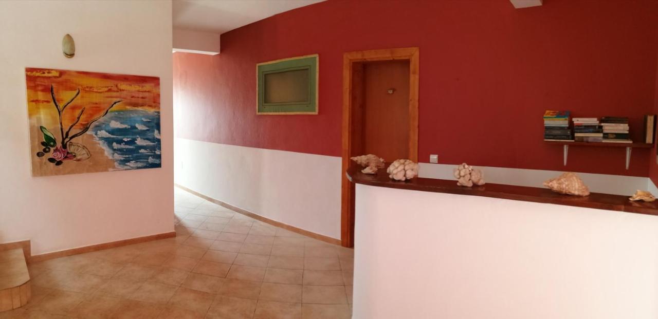 B&B Salinas Boa Vista Wifi Free Сал Рей Екстериор снимка